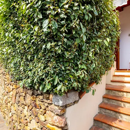 Serenity House * Agrustos